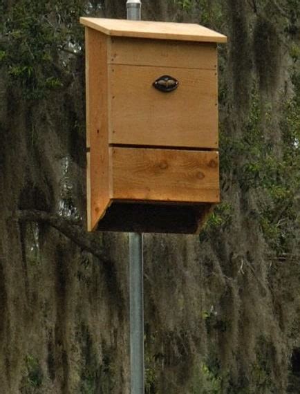 bat houses for sale